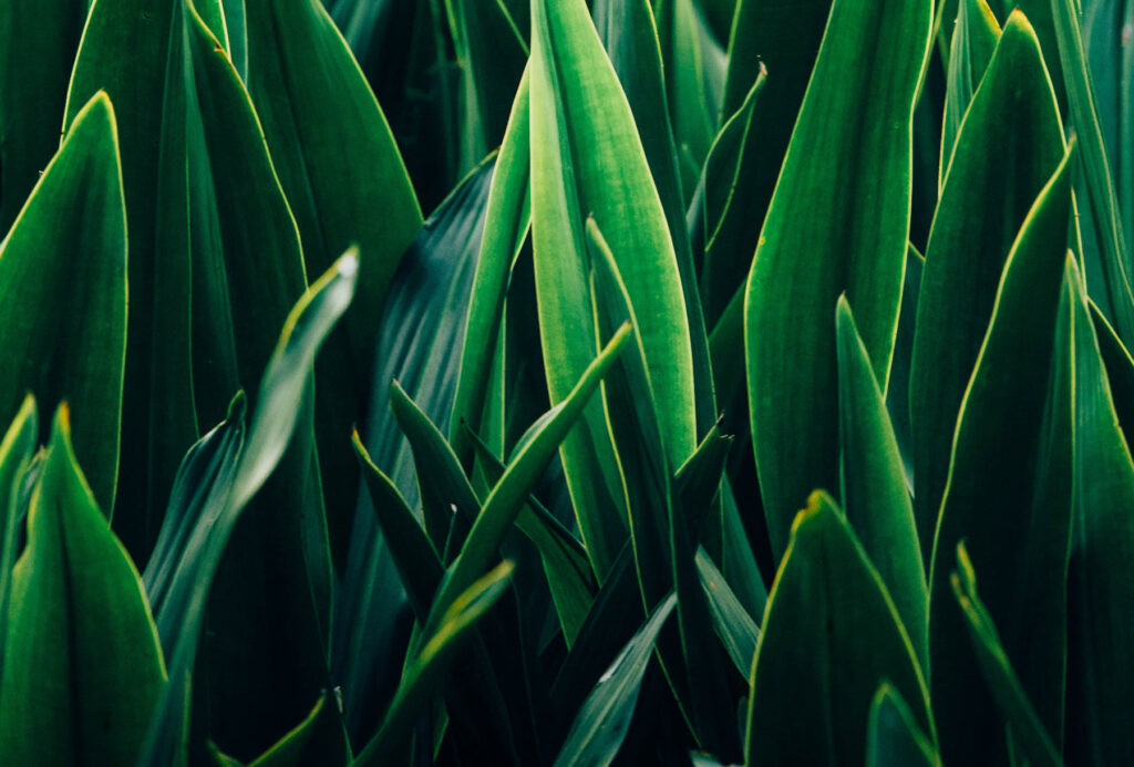 chuttersnap-VhjPn97O7dc-unsplash