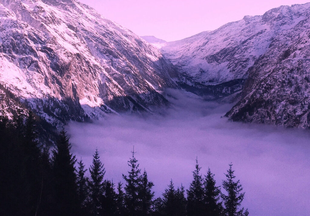jon-r8AFUpRp0J0-unsplash - Copy