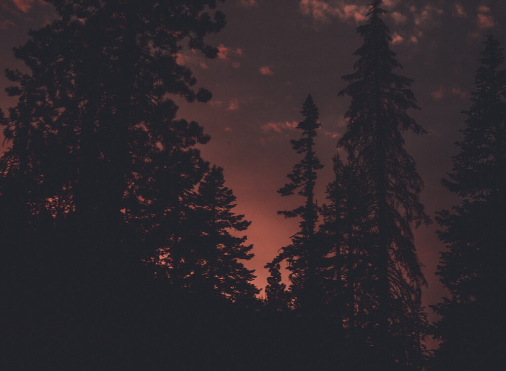 vincent-battault-00DrMWgsyu8-unsplash
